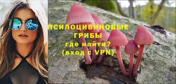 ALPHA PVP Костерёво