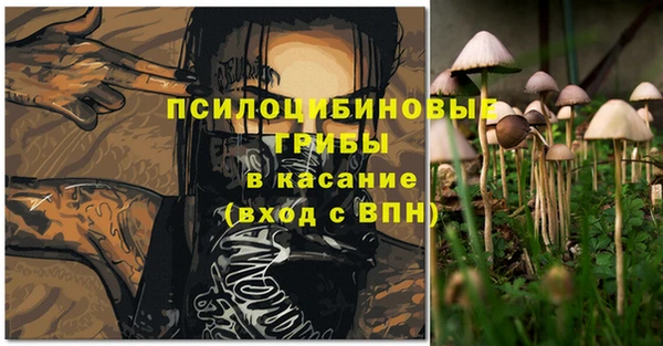 гидропоника Корсаков