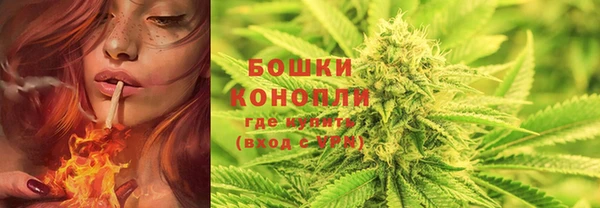 2c-b Коряжма